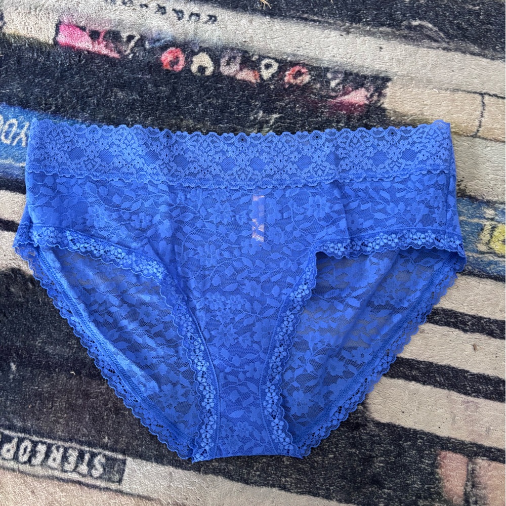 ThirdLove Delicate Blue Lace brief Large